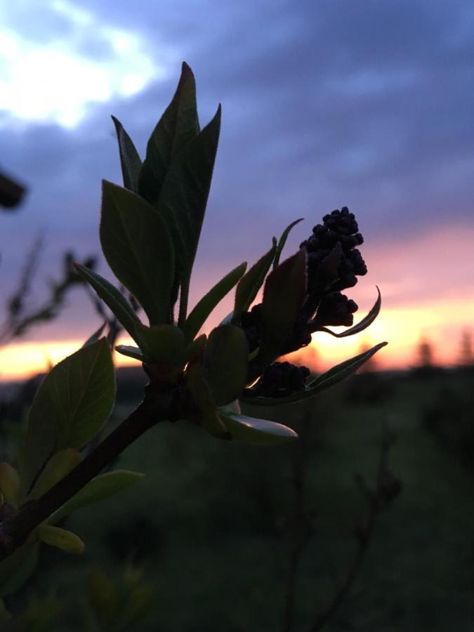 Wygodny Murowany Domek- Nowy Dąbki Esterno foto