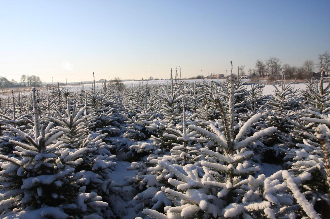 Wygodny Murowany Domek- Nowy Dąbki Esterno foto