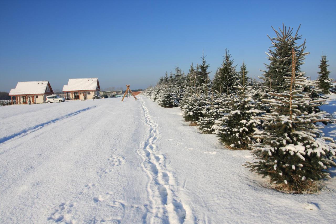 Wygodny Murowany Domek- Nowy Dąbki Esterno foto